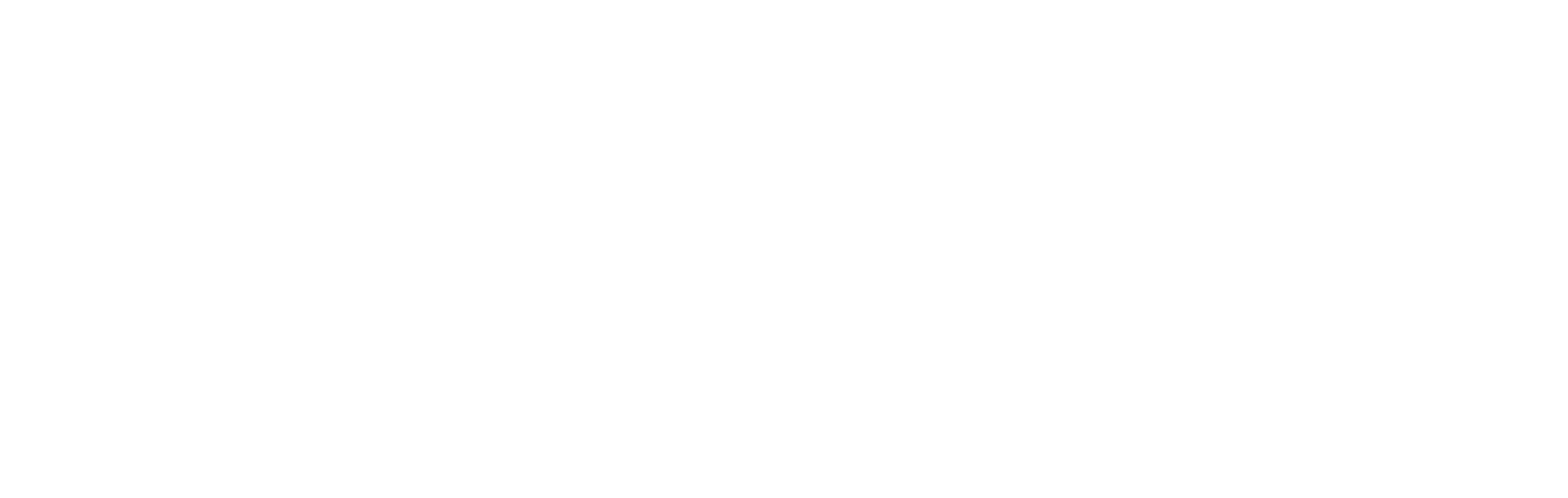 World Vision Reverse-Logo
